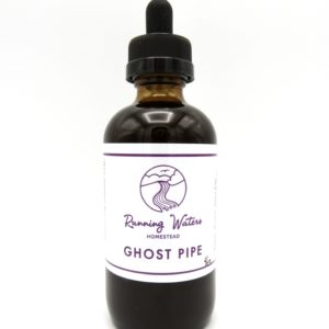 Ghost Pipe Tincture