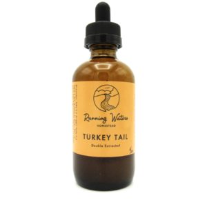 Double Extracted Turkey Tail Mushroom Tincture