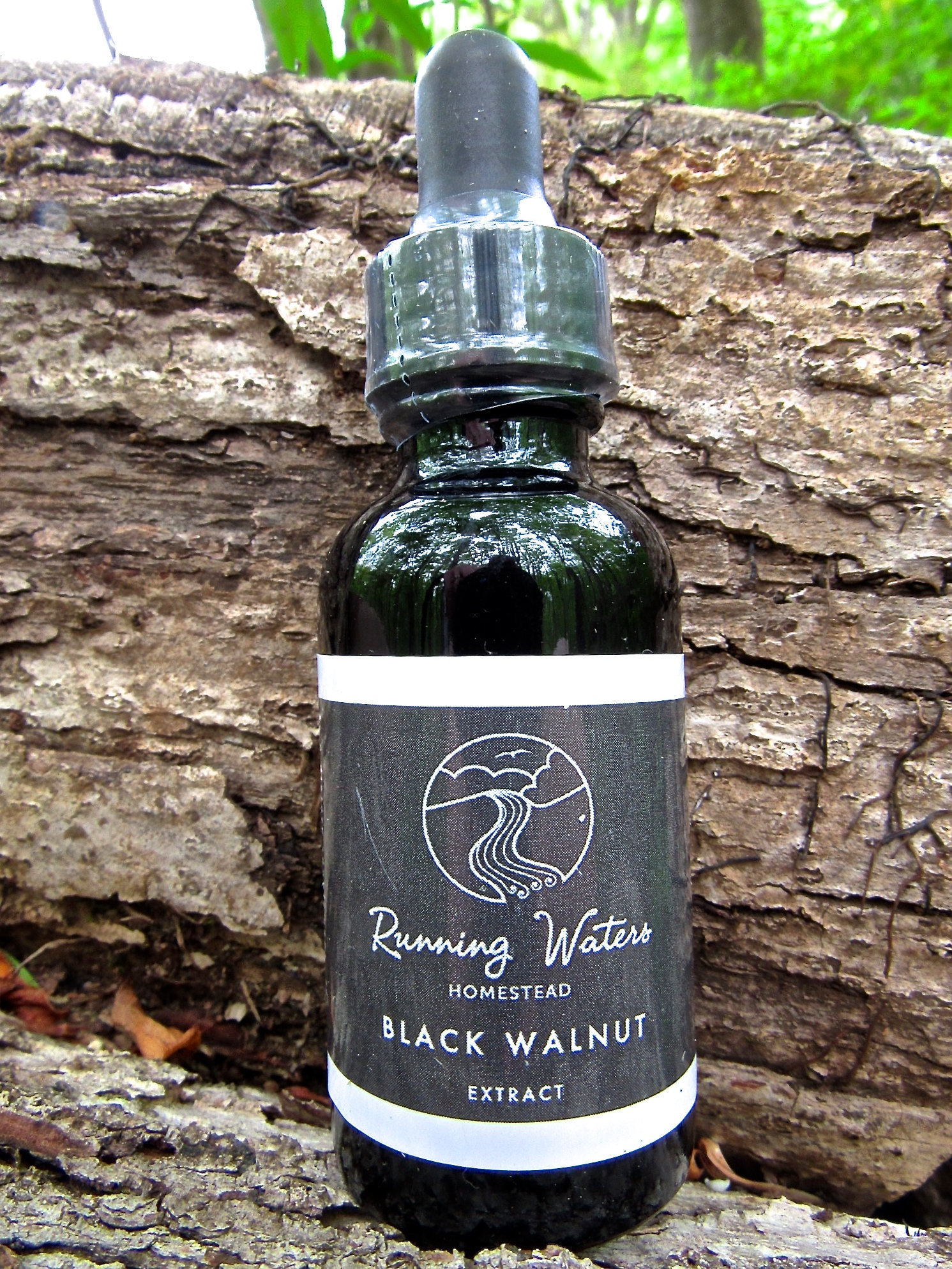 Black Walnut Extract 1oz Medicinal Running Waters Homestead   Black Walnut Extract 1oz Medicinal 5fac1ed0 